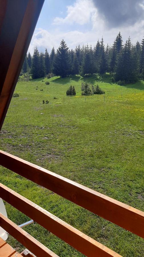 House Bojana Villa Žabljak Buitenkant foto